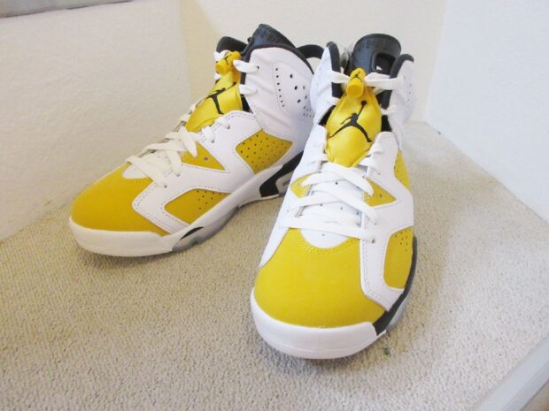 ナイキ NIKE AIR Jordan 6 Retro エアジョーダン6レトロ Yellow Ochre CT8529-170 スニーカー　