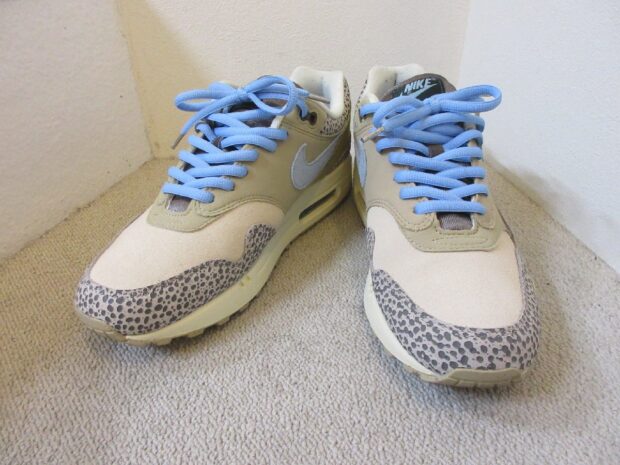 ナイキ NIKE WMNS AIR MAX 1 エアマックス SAFARI DV3027-001 スニーカー