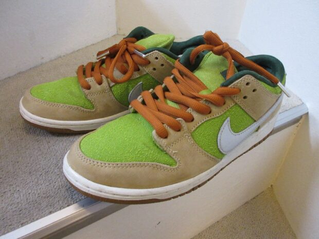 ナイキ NIKE SB DUNK LOW PRO WC ESCARGOT FQ7585-200 スニーカー